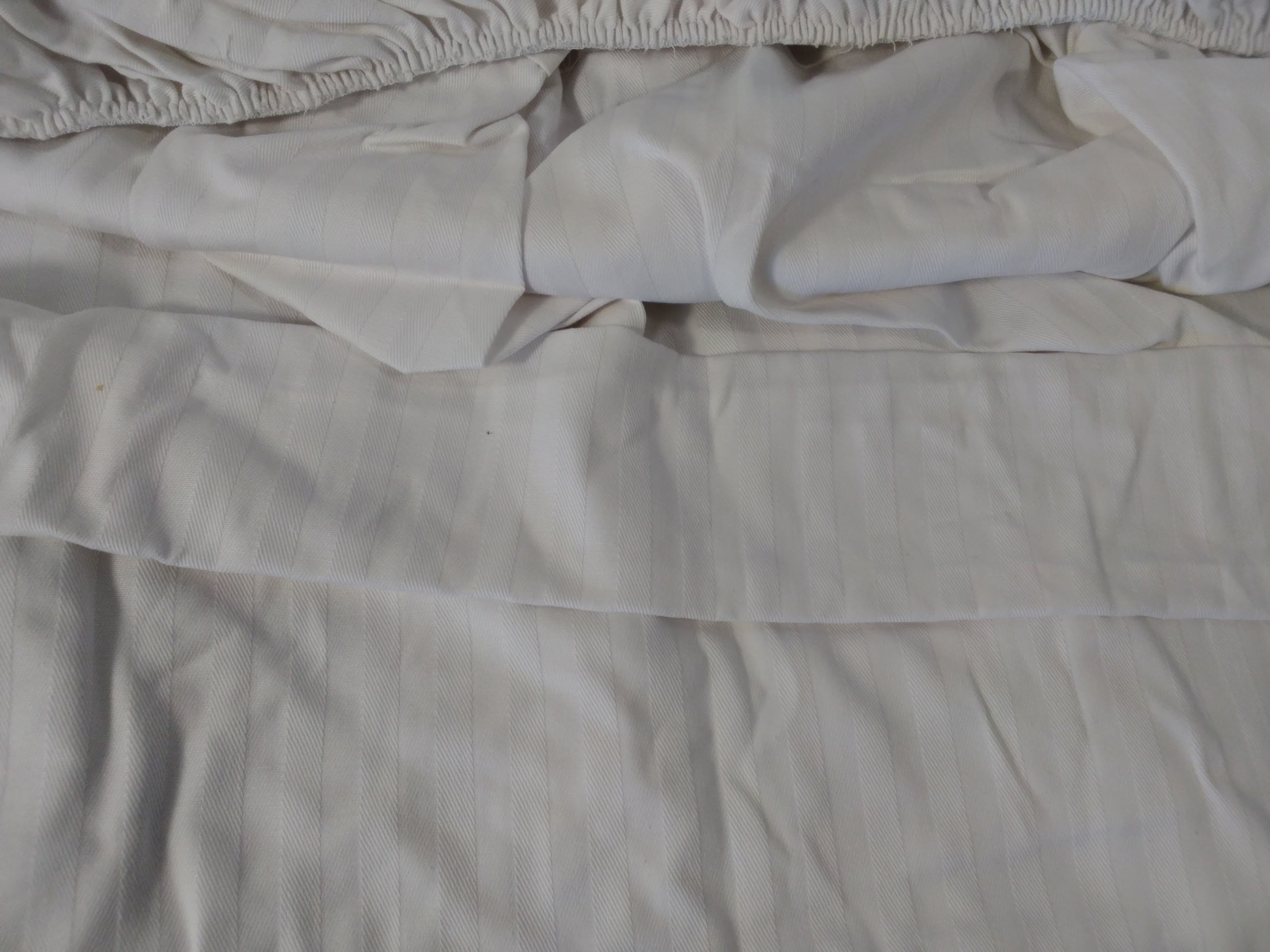 Pikolin Home Protector Coprimaterasso 100% Cotone 180x200 cm | Traspirante | Extra Morbido Nuovo